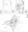 Fig. 08 - System and method for nanoscale X-ray imaging of biological specimen