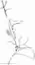 Fig. 01 - Surgical drill