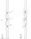 Fig. 12 - Steerable endoluminal punch