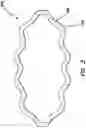 Fig. 04 - Multifunctional surgical access system