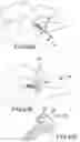 Fig. 32 - Vertebral joint implants and delivery tools
