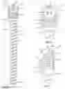 Fig. 10 - Orthopedic bone screw