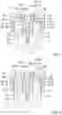 Fig. 05 - DENTAL IMPLANT SYSTEM
