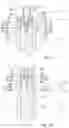Fig. 06 - DENTAL IMPLANT SYSTEM