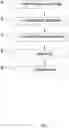 Fig. 02 - METHOD FOR FORMING AND SETTING DENTURE