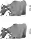 Fig. 04 - Method for virtual setup with mixed dentition