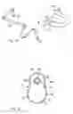Fig. 18 - DENTAL SUCTION ARRANGEMENT