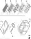 Fig. 02 - Bodily fluid transporting unit