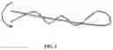 Fig. 05 - Methods and compositions for promoting the structural integrity of scaffolds for tissue engineering