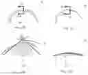 Fig. 14 - Methods and compositions for promoting the structural integrity of scaffolds for tissue engineering