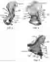 Fig. 03 - Systems and methods for attaching soft tissue to an implant