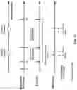 Fig. 13 - SYSTEMS AND METHODS FOR PERFORMING SURGICAL PROCEDURES AND ASSESSMENTS