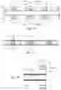 Fig. 17 - Method for application of nested zero waste ear to traveling web