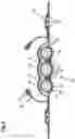 Fig. 05 - Absorbent articles having channels and wetness indicator
