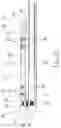 Fig. 28 - ABSORBENT ARTICLE WITH WAIST GASKETING ELEMENT AND LEG CUFFS