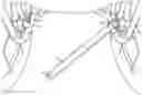 Fig. 01 - Rotatable swing arm stabilizer for folding wheelchairs