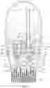 Fig. 03 - Foam generator for inverted compression receptacles