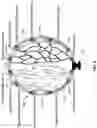 Fig. 03 - PHYSICAL OBSTRUCTION OF SCALP ARTERIAL CIRCULATION TO PREVENT CHEMOTHERAPY ASSOCIATED ALOPECIA