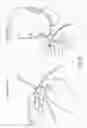 Fig. 11 - Devices, systems and methods for mechanical tissue stimulation