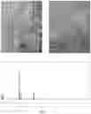 Fig. 05 - Compositions with doped titanium dioxide nanoparticles and methods of use