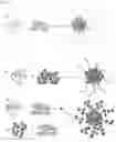 Fig. 02 - Method of Encapsulating Compounds