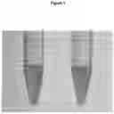 Fig. 02 - Means and methods for preventing and/or treating caries