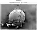 Fig. 12 - Prolonged Release of Local Anesthetics Using Microparticles and Surgery Applications
