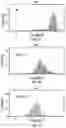 Fig. 05 - Hypotonic hydrogel formulations for enhanced transport of active agents at mucosal surfaces
