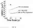Fig. 07 - Hypotonic hydrogel formulations for enhanced transport of active agents at mucosal surfaces