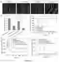 Fig. 05 - Glucose sensitive compositions for drug delivery