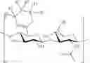 Fig. 19 - Glucose sensitive compositions for drug delivery