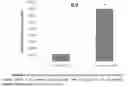 Fig. 04 - METHOD FOR PREPARING A STABLE CONTROLLED-RELEASE PROPOLIS COLLOIDAL DISPERSION SYSTEM FOR VARIOUS USES