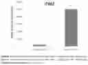 Fig. 05 - METHOD FOR PREPARING A STABLE CONTROLLED-RELEASE PROPOLIS COLLOIDAL DISPERSION SYSTEM FOR VARIOUS USES