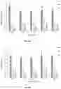 Fig. 17 - Method for blood plasma protein activity preservation
