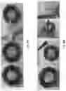 Fig. 23 - Abuse deterrent formulations of amphetamine