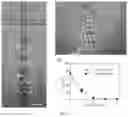 Fig. 06 - MICROPARTICLES, METHODS FOR THEIR PREPARATION AND USE