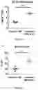 Fig. 03 - Nanoparticle vaccine adjuvant and methods of use thereof