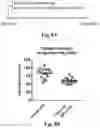 Fig. 09 - Nanoparticle vaccine adjuvant and methods of use thereof