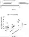 Fig. 12 - Nanoparticle vaccine adjuvant and methods of use thereof