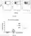 Fig. 14 - Nanoparticle vaccine adjuvant and methods of use thereof