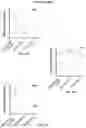 Fig. 14 - Nanoalum particles comprising a PAA sizing agent