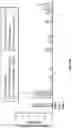 Fig. 16 - Nanoalum particles comprising a PAA sizing agent