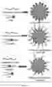 Fig. 03 - CO-DELIVERY OF NUCLEIC ACIDS FOR SIMULTANEOUS SUPPRESSION AND EXPRESSION OF TARGET GENES