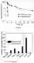 Fig. 07 - CO-DELIVERY OF NUCLEIC ACIDS FOR SIMULTANEOUS SUPPRESSION AND EXPRESSION OF TARGET GENES