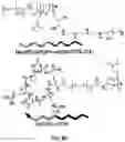 Fig. 08 - CO-DELIVERY OF NUCLEIC ACIDS FOR SIMULTANEOUS SUPPRESSION AND EXPRESSION OF TARGET GENES
