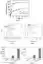 Fig. 10 - CO-DELIVERY OF NUCLEIC ACIDS FOR SIMULTANEOUS SUPPRESSION AND EXPRESSION OF TARGET GENES