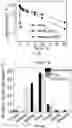 Fig. 11 - CO-DELIVERY OF NUCLEIC ACIDS FOR SIMULTANEOUS SUPPRESSION AND EXPRESSION OF TARGET GENES