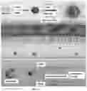 Fig. 17 - CO-DELIVERY OF NUCLEIC ACIDS FOR SIMULTANEOUS SUPPRESSION AND EXPRESSION OF TARGET GENES
