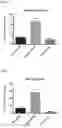 Fig. 06 - Nutritional Compositions Containing An Elevated Level Of Inositol And Uses Thereof