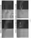 Fig. 03 - TOPICAL DELIVERY OF NUCLEIC ACID COMPOUNDS